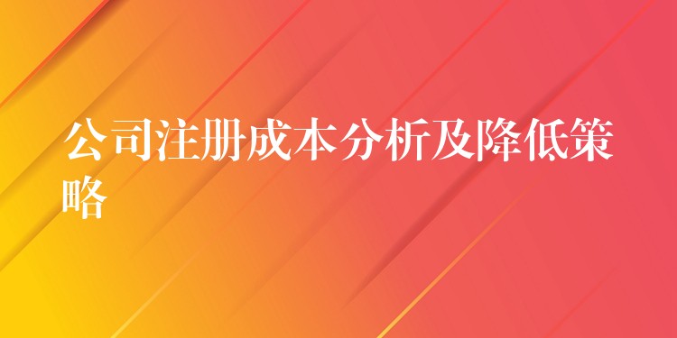 公司注册成本分析及降低策略