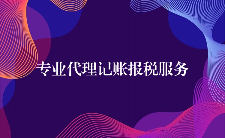 专业代理记账报税服务